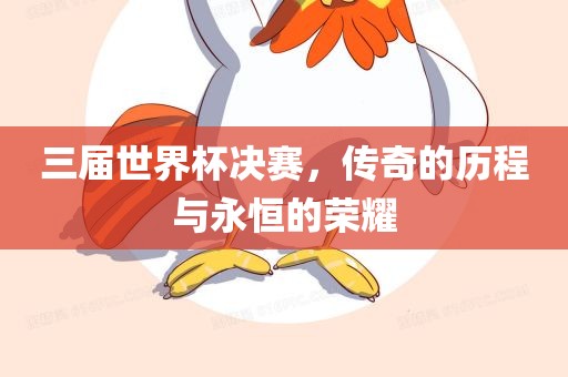 三届世界杯决赛，传奇的历程与永恒的荣耀