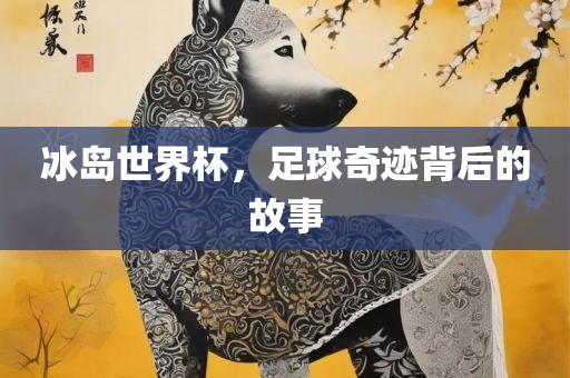 冰岛世界杯，足球奇迹背后的故事