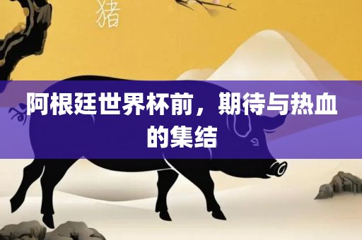 阿根廷世界杯前，期待与热血的集结