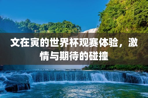文在寅的世界杯观赛体验，激情与期待的碰撞吉安市靖泰电力工程有限公司