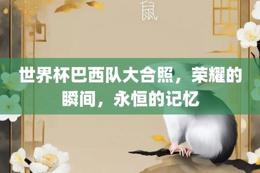 世界杯巴西队大合照，荣耀的瞬间，永恒的记忆吉安市靖泰电力工程有限公司