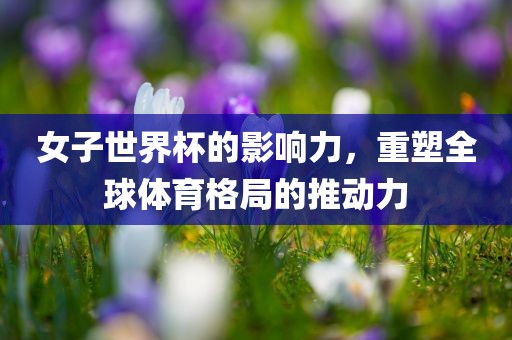 女子世界杯的影响力，吉安市靖泰电力工程有限公司重塑全球体育格局的推动力