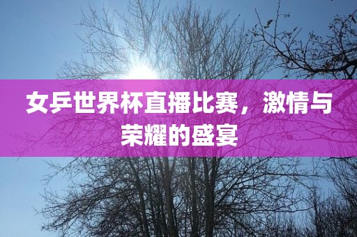 女乒世界杯直播比赛，激情与荣耀的盛宴吉安市靖泰电力工程有限公司