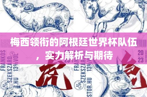 梅西领衔的阿根廷世界杯队伍，实力解析与期待