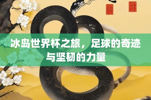 冰岛世界杯之旅，足球的奇迹与坚韧的力量