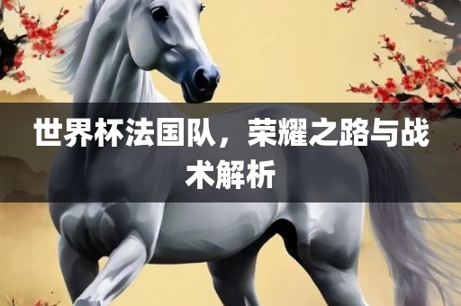 世界杯法国队，荣耀之路与战术解析