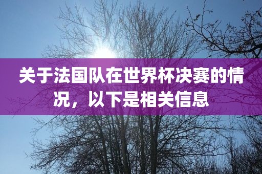 关于法国队在世界杯决赛的情况，以下是相关信息