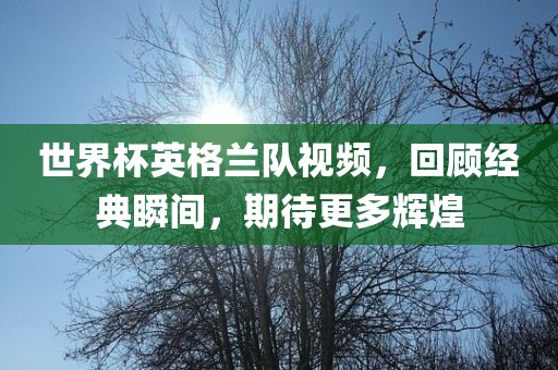 世界杯英格兰队视频，回顾经典瞬间，期待更多辉煌