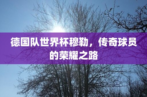 德国队世界杯穆勒，传奇球员的荣耀之路吉安市靖泰电力工程有限公司