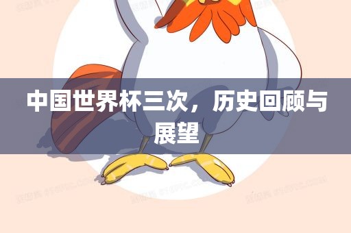 中国世界杯三次吉安市靖泰电力工程有限公司，历史回顾与展望