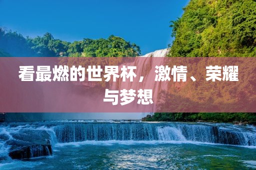 激情与荣耀 第2页