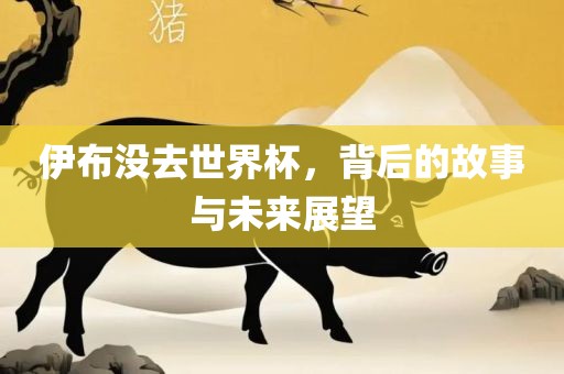 伊布没去世界杯，背后的故事与未来展望吉安市靖泰电力工程有限公司
