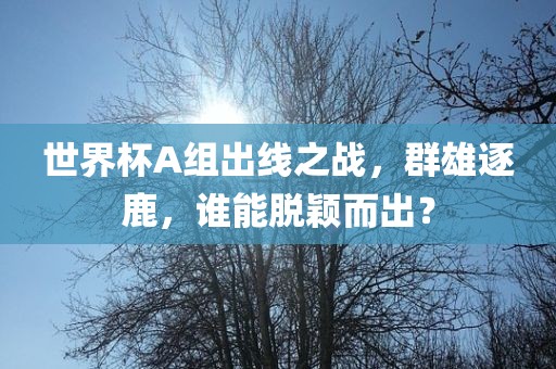世界杯A组出线之战，群雄逐鹿，谁能脱颖而出？