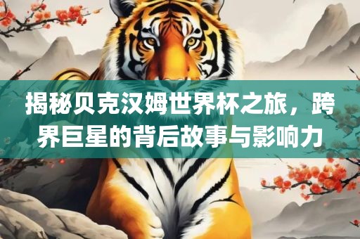揭秘贝克汉姆世界杯之旅，跨界巨星的背后故事与影响力吉安市靖泰电力工程有限公司