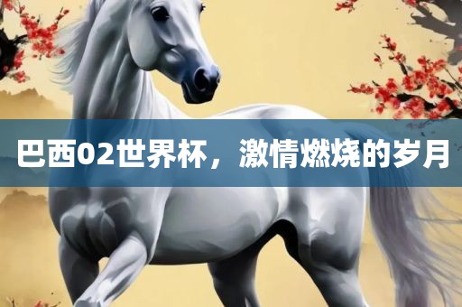 巴西02世界杯，激情燃烧的岁月