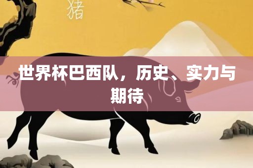 世界杯巴西队，历史、实力与期待
