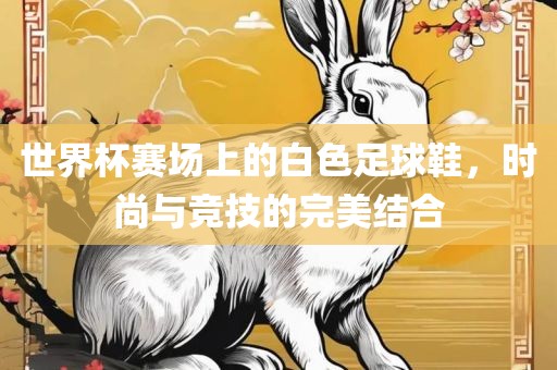 世界杯赛场上的白色足球鞋，时尚与竞技的完美结合吉安市靖泰电力工程有限公司