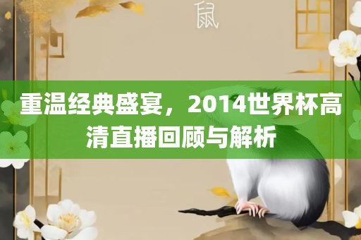 重温经典盛宴，2014世界杯高清直播回顾与解析