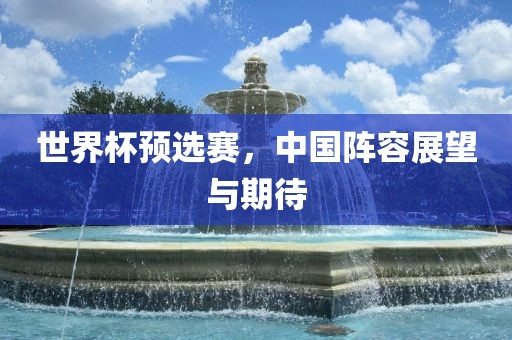 世界杯预选赛，中国阵容展望与期待吉安市靖泰电力工程有限公司