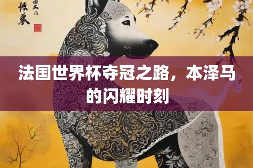 法国世界杯夺冠之路，本泽马的闪吉安市靖泰电力工程有限公司耀时刻