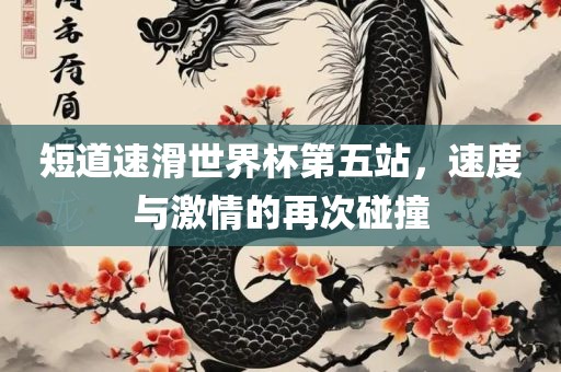 短道速滑世界杯第五站，速度与激情的再次碰撞吉安市靖泰电力工程有限公司