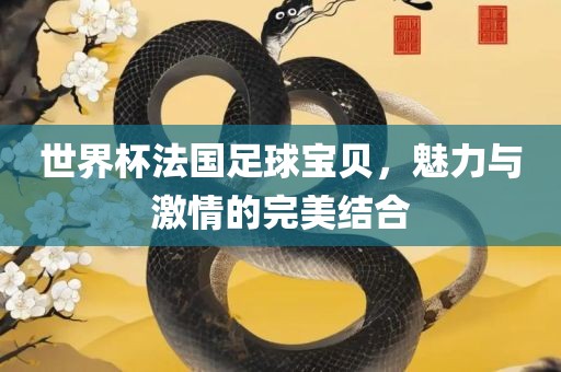 世界杯法国足球宝贝，魅力与激情的完吉安市靖泰电力工程有限公司美结合