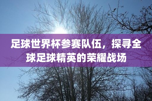足球世界杯参赛队伍，探寻全球足球精英的荣耀战场吉安市靖泰电力工程有限公司