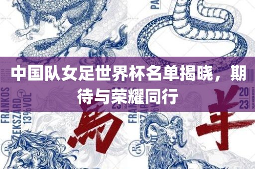 中国队女足世界杯名单揭晓，期待与荣耀同行吉安市靖泰电力工程有限公司
