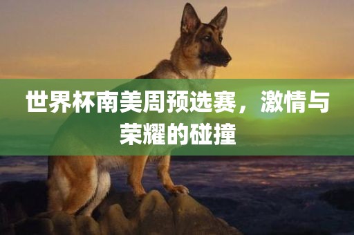 世界杯南美周预选赛，激情与荣耀的碰撞