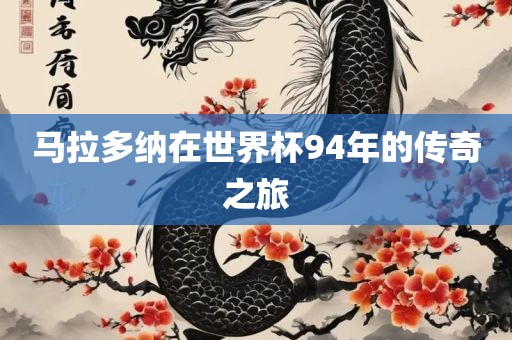 马拉多纳在世界杯94年的传奇之旅