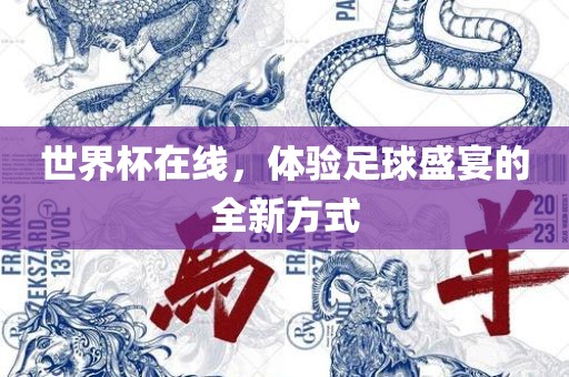 世界杯在线，体验足球盛宴的全新方式