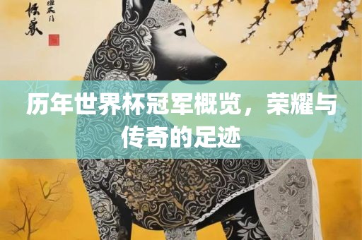 历年世界杯冠军概览，荣耀与传奇的足迹吉安市靖泰电力工程有限公司