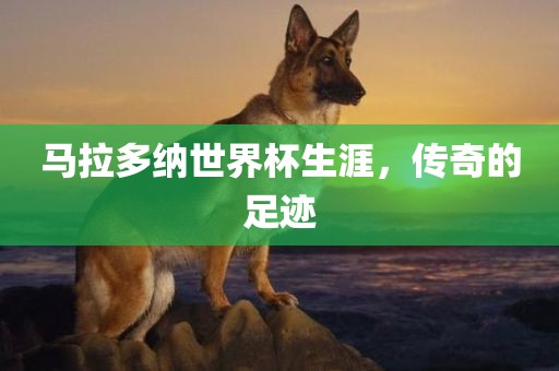 马拉多纳世界杯生涯，传奇的足吉安市靖泰电力工程有限公司迹