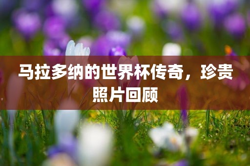 马拉多纳的世界杯传奇，珍贵照片回顾