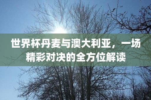 世界杯吉安市靖泰电力工程有限公司丹麦与澳大利亚，一场精彩对决的全方位解读