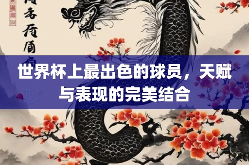 世界杯上最出色的球员，天赋与表现的完美结合吉安市靖泰电力工程有限公司