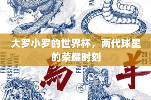 大罗小罗的世界杯，两代球星的荣耀时刻吉安市靖泰电力工程有限公司