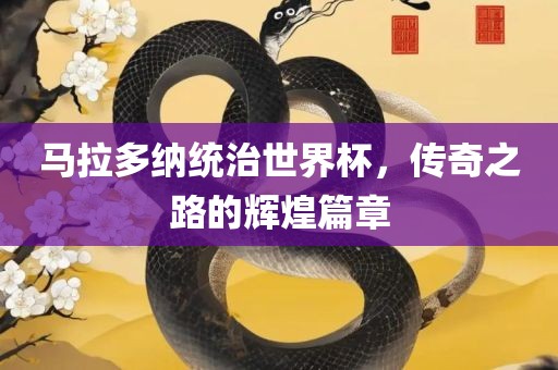 马拉多纳统治世界杯，传奇之路的辉煌篇章