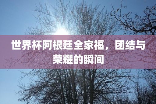 世界杯阿根廷全吉安市靖泰电力工程有限公司家福，团结与荣耀的瞬间