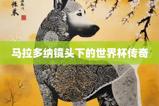马拉多纳镜吉安市靖泰电力工程有限公司头下的世界杯传奇