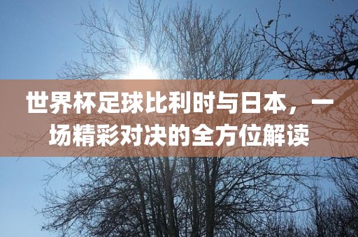 世界杯足球比利时与日本，一场精吉安市靖泰电力工程有限公司彩对决的全方位解读