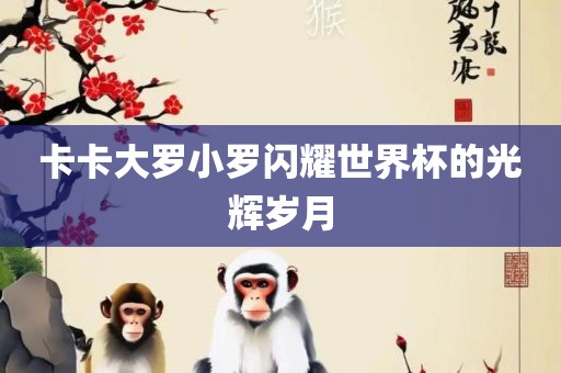 卡卡大罗小罗闪耀世界杯的光辉岁月吉安市靖泰电力工程有限公司