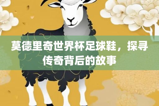 莫德里奇世界杯足球鞋，探寻传奇背后的故事