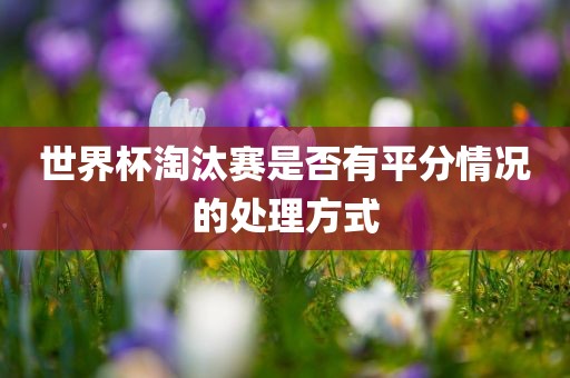 世界杯淘汰赛是否有平分情况的处理方式