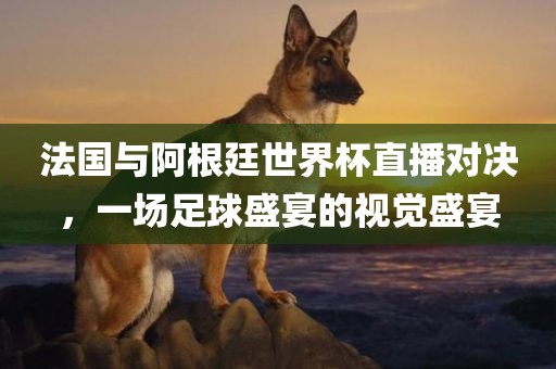 法国与阿根廷世界杯直播对决，一场足球盛宴的视觉盛宴