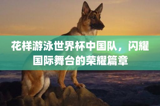 花样游泳世界杯中国队，闪耀国际舞台的荣耀篇章