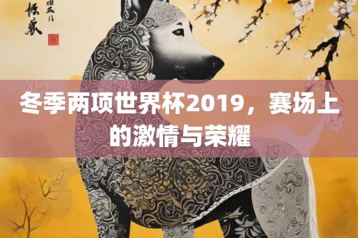 冬季两项世界杯2019，赛场上的激情与荣耀吉安市靖泰电力工程有限公司