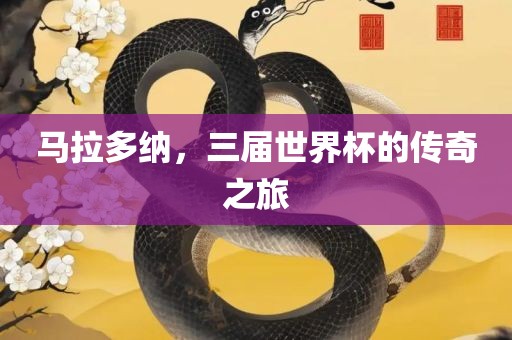 马拉多纳，三届世界杯的传奇之旅