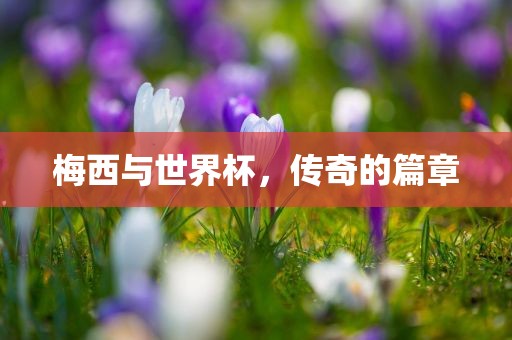 梅西与世界杯，传奇的篇章吉安市靖泰电力工程有限公司
