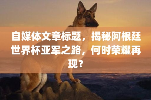 自媒体文章标题，揭秘阿根廷世界杯亚军之路，何时荣耀再现？吉安市靖泰电力工程有限公司